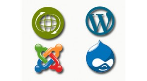 Bundle Monthly - Renewal