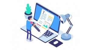 Custom Written Articles